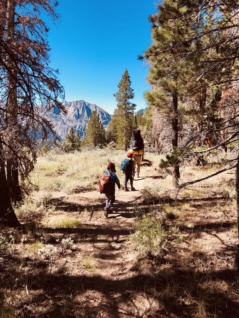 Two small children with backpacks following an adult with a big pack along a sunny trail through sage and pines, with a granite peak ahead