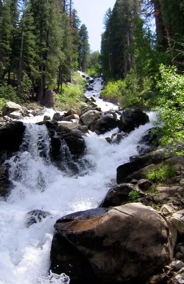Fern Creek
