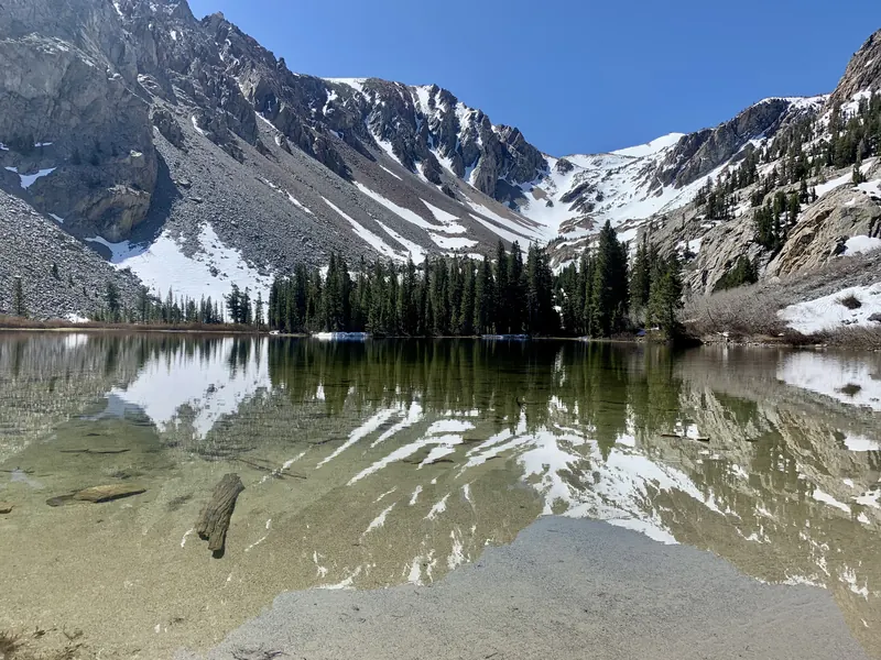 Fern Lake in early summer: clear shallow water reflecting the snow-streaked cirque and a stand of pines under a deep blue sky