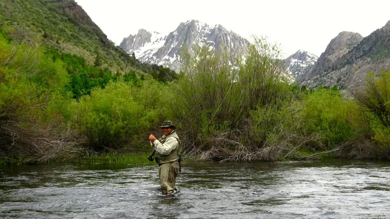 A fly fisher working a run on Rush Creek in the Eastern Sierra