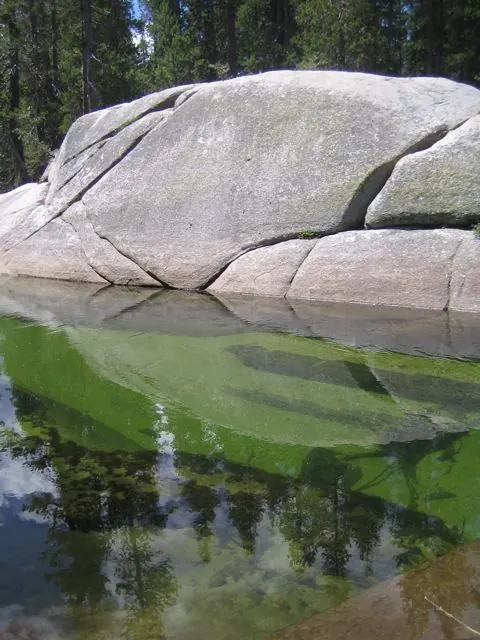 A granite dome reflected in a small high country pond