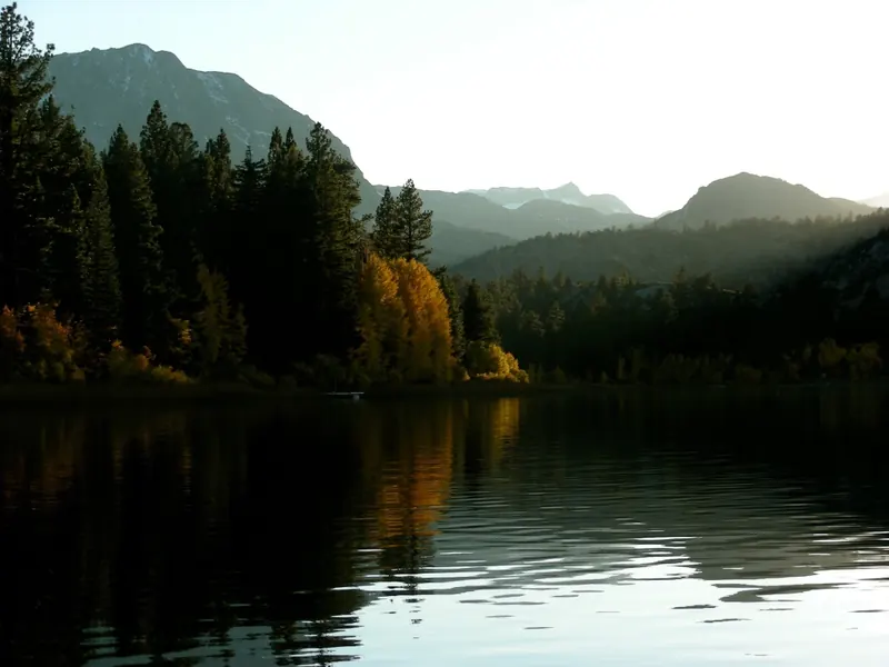 June Lake at golden hour: gold aspens and dark pines reflected in still water, with soft light on the peaks beyond