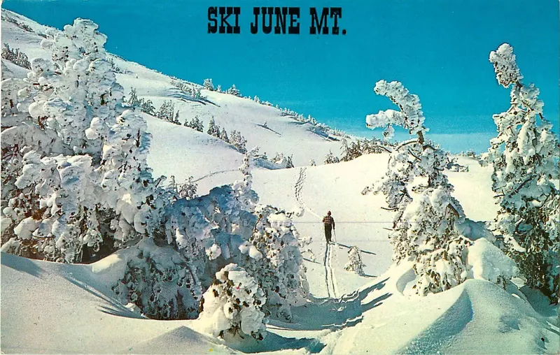 A vintage Ski June Mt. postcard: a lone skier among snow-plastered trees