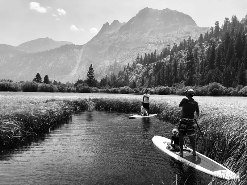 Two paddleboarders, a child and a dog on Rush Creek above Silver Lake, in black and white