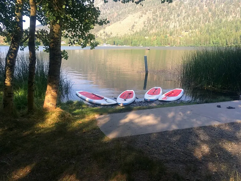 Four paddleboards pulled up on the shore of Silver Lake under the aspens